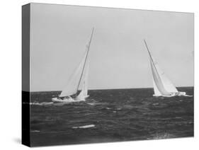 Sailboats During the America's Cup Trials-null-Stretched Canvas