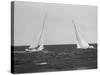 Sailboats During the America's Cup Trials-null-Stretched Canvas