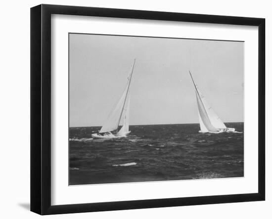 Sailboats During the America's Cup Trials-null-Framed Photographic Print