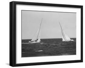 Sailboats During the America's Cup Trials-null-Framed Photographic Print