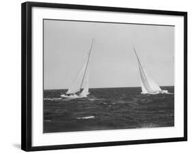 Sailboats During the America's Cup Trials-null-Framed Photographic Print