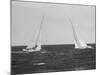 Sailboats During the America's Cup Trials-null-Mounted Photographic Print