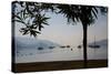 Sailboats Framed by Tree, Marmaris, Anatolia, Turkey, Asia Minor, Eurasia-Frank Fell-Stretched Canvas