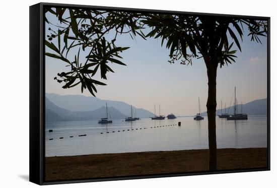 Sailboats Framed by Tree, Marmaris, Anatolia, Turkey, Asia Minor, Eurasia-Frank Fell-Framed Stretched Canvas