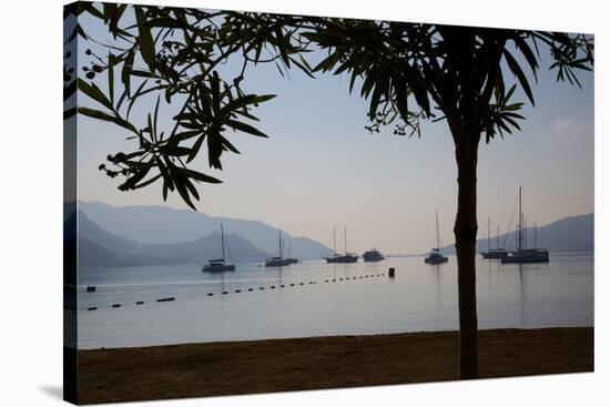 Sailboats Framed by Tree, Marmaris, Anatolia, Turkey, Asia Minor, Eurasia-Frank Fell-Stretched Canvas