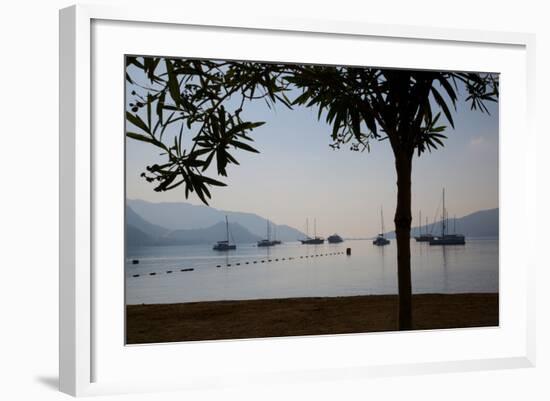 Sailboats Framed by Tree, Marmaris, Anatolia, Turkey, Asia Minor, Eurasia-Frank Fell-Framed Photographic Print