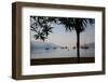 Sailboats Framed by Tree, Marmaris, Anatolia, Turkey, Asia Minor, Eurasia-Frank Fell-Framed Photographic Print