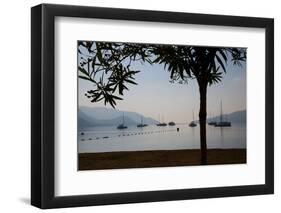 Sailboats Framed by Tree, Marmaris, Anatolia, Turkey, Asia Minor, Eurasia-Frank Fell-Framed Photographic Print