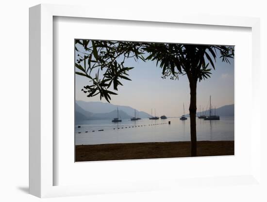 Sailboats Framed by Tree, Marmaris, Anatolia, Turkey, Asia Minor, Eurasia-Frank Fell-Framed Photographic Print