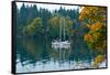 Sailboats in a Lake, Washington State, USA-null-Framed Stretched Canvas