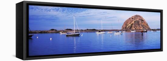 Sailboats in an ocean, Morro Bay, San Luis Obispo County, California, USA-null-Framed Stretched Canvas