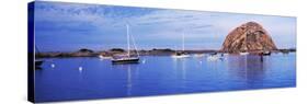 Sailboats in an ocean, Morro Bay, San Luis Obispo County, California, USA-null-Stretched Canvas