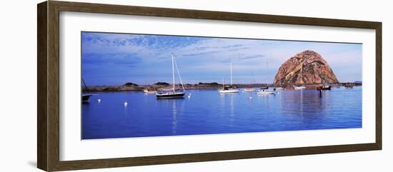 Sailboats in an ocean, Morro Bay, San Luis Obispo County, California, USA-null-Framed Photographic Print