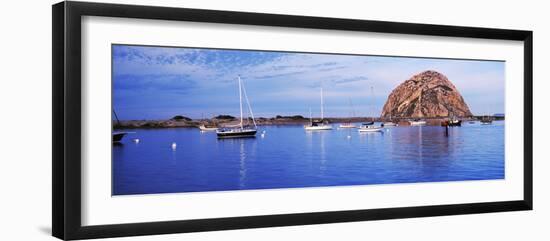 Sailboats in an ocean, Morro Bay, San Luis Obispo County, California, USA-null-Framed Photographic Print