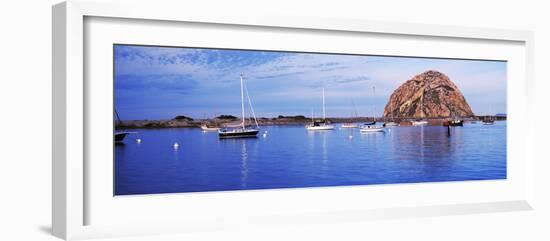 Sailboats in an ocean, Morro Bay, San Luis Obispo County, California, USA-null-Framed Photographic Print