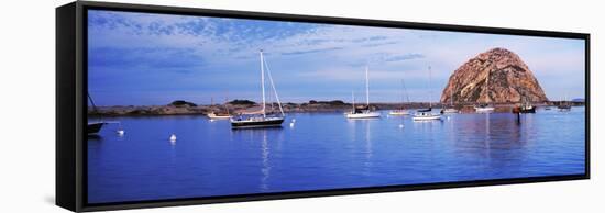 Sailboats in an ocean, Morro Bay, San Luis Obispo County, California, USA-null-Framed Stretched Canvas