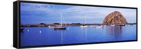 Sailboats in an ocean, Morro Bay, San Luis Obispo County, California, USA-null-Framed Stretched Canvas