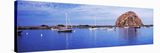 Sailboats in an ocean, Morro Bay, San Luis Obispo County, California, USA-null-Stretched Canvas