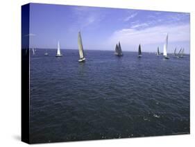 Sailboats in Ocean, Ticonderoga Race-Michael Brown-Stretched Canvas