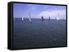 Sailboats in Ocean, Ticonderoga Race-Michael Brown-Framed Stretched Canvas