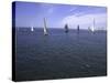 Sailboats in Ocean, Ticonderoga Race-Michael Brown-Stretched Canvas