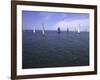 Sailboats in Ocean, Ticonderoga Race-Michael Brown-Framed Photographic Print