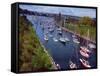 Sailboats in Opening Day Yacht Parade-Ray Krantz-Framed Stretched Canvas