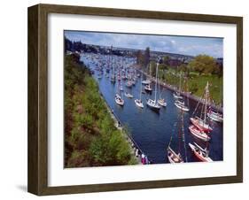 Sailboats in Opening Day Yacht Parade-Ray Krantz-Framed Photographic Print