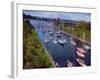 Sailboats in Opening Day Yacht Parade-Ray Krantz-Framed Photographic Print