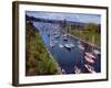 Sailboats in Opening Day Yacht Parade-Ray Krantz-Framed Photographic Print