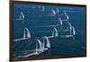 Sailboats in Swan Nyyc Invitational Regatta, Newport, Rhode Island, USA-null-Framed Photographic Print