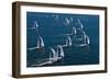 Sailboats in Swan Nyyc Invitational Regatta, Newport, Rhode Island, USA-null-Framed Photographic Print