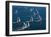 Sailboats in Swan Nyyc Invitational Regatta, Newport, Rhode Island, USA-null-Framed Photographic Print