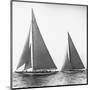 Sailboats in the America's Cup, 1934-Edwin Levick-Mounted Art Print