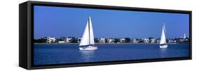 Sailboats in the Atlantic Ocean with Mansions in the Background, Intracoastal Waterway-null-Framed Stretched Canvas