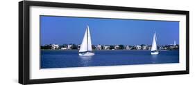 Sailboats in the Atlantic Ocean with Mansions in the Background, Intracoastal Waterway-null-Framed Photographic Print