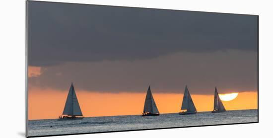 Sailboats in the Ocean at Sunset, Waikiki, Honolulu, Oahu, Hawaii, USA-Keith Levit-Mounted Photographic Print