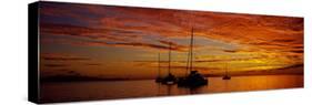 Sailboats in the Sea, Tahiti, French Polynesia-null-Stretched Canvas