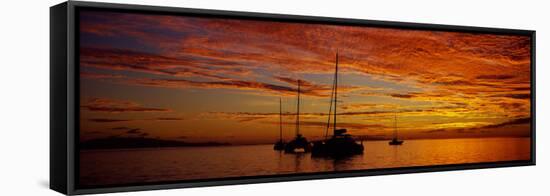Sailboats in the Sea, Tahiti, French Polynesia-null-Framed Stretched Canvas