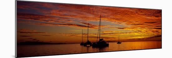 Sailboats in the Sea, Tahiti, French Polynesia-null-Mounted Photographic Print