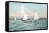 Sailboats off Alameda Beach - Alameda, CA-Lantern Press-Framed Stretched Canvas