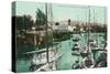 Sailboats on Napa River Scene - Napa, CA-Lantern Press-Stretched Canvas