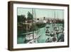 Sailboats on Napa River Scene - Napa, CA-Lantern Press-Framed Art Print