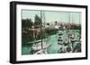 Sailboats on Napa River Scene - Napa, CA-Lantern Press-Framed Art Print