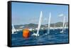 Sailboats Participating in Regatta and Buoy, Ibiza, Balearic Islands, Spain, Mediterranean, Europe-Emanuele Ciccomartino-Framed Stretched Canvas
