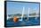 Sailboats Participating in Regatta and Buoy, Ibiza, Balearic Islands, Spain, Mediterranean, Europe-Emanuele Ciccomartino-Framed Stretched Canvas