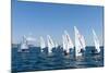 Sailboats Participating in Regatta, Ibiza, Balearic Islands, Spain, Mediterranean, Europe-Emanuele Ciccomartino-Mounted Photographic Print