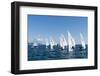 Sailboats Participating in Regatta, Ibiza, Balearic Islands, Spain, Mediterranean, Europe-Emanuele Ciccomartino-Framed Photographic Print