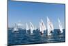 Sailboats Participating in Regatta, Ibiza, Balearic Islands, Spain, Mediterranean, Europe-Emanuele Ciccomartino-Mounted Photographic Print
