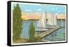 Sailboats, Pier, Buckeye Lake, Ohio-null-Framed Stretched Canvas